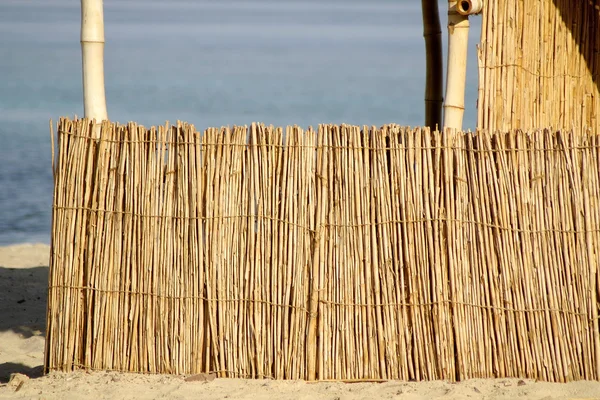 Vassstuga på strand, rött hav, sinai, egypt — Stockfoto
