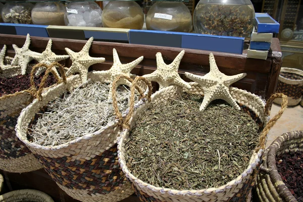 Star fish at a local market in dahab, red sea region, sinai, egypt — Stock Photo, Image