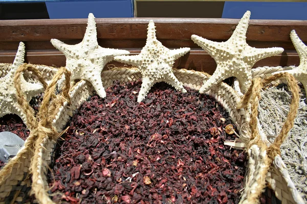 Estrella de mar y hierbas en un mercado local en dahab, región del mar rojo, sinaí, egyp — Foto de Stock