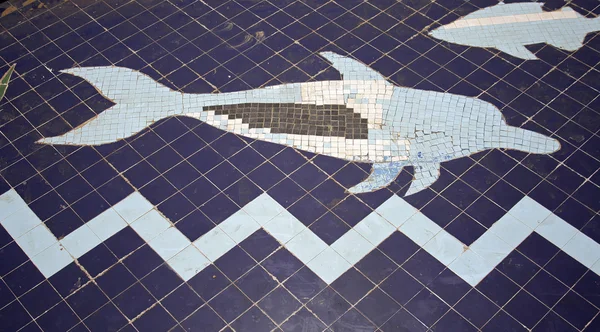 Dolphin mosaik, röda havet beach resort, sinai, Egypten — Stockfoto