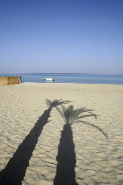 Shadow of palm trees on beach resort, red sea sinai, egypt — Stock Photo, Image