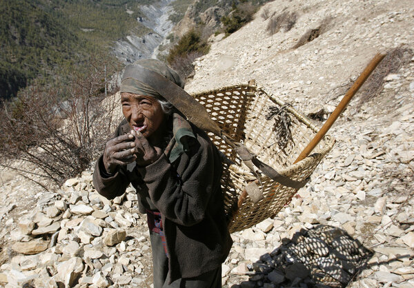 Старушка с плетеной корзиной просит сливки для ее сушеных губ
