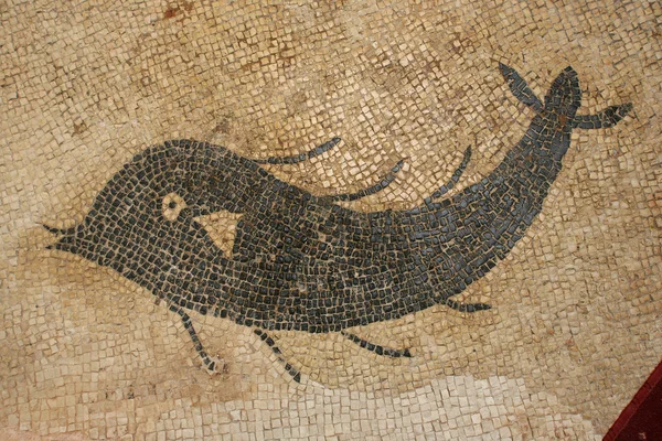 Dolphin mosaik — Stockfoto