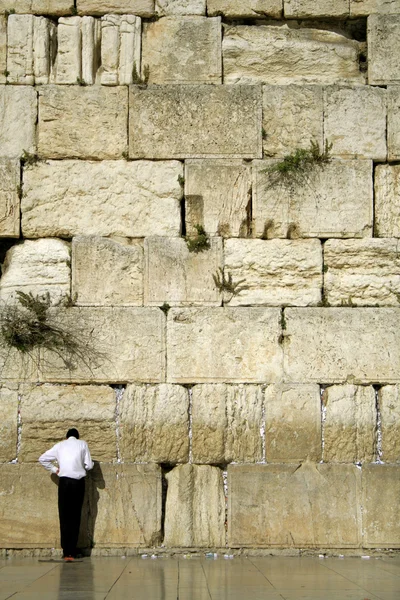 Человек молится рядом со стеной плача, Джерси, Исраэль — стоковое фото