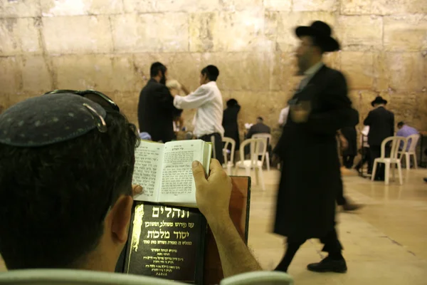 Chasidským Židé v kvílivý Západní zeď, Jeruzalém, Izrael — Stock fotografie