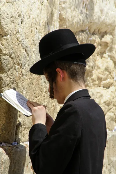 Jovem judeu hasídico na parede ocidental lamentando, jerusalem, israel — Fotografia de Stock