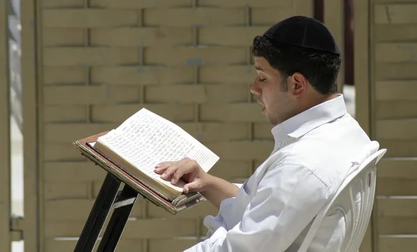 Молодой еврей, читающий Тору, стенка плача, Джерси, Израиль — стоковое фото