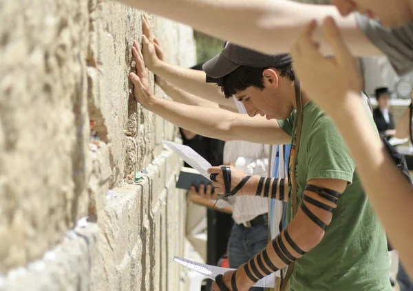 Jóvenes americanos "derecho de nacimiento" Judios rezando en la pared de lamentación, jerusa — Foto de Stock