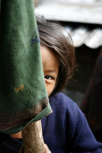 Застенчивая маленькая девочка прячется за полюсом, Аннапурна, Непал — стоковое фото