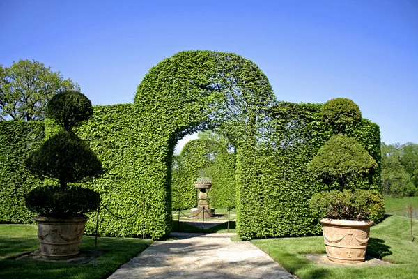Obloukový keře zahrady eyrignac, Francie — Stock fotografie