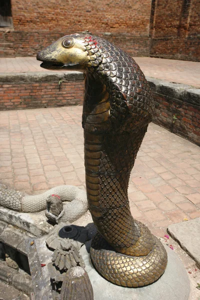 Cobra de bronze — Fotografia de Stock