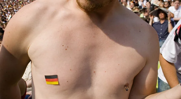 Alemão ventilador peito — Fotografia de Stock