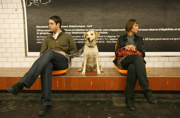 Pareja. — Foto de Stock