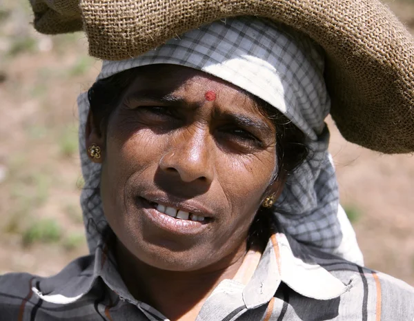 Женщина на чайной плантации, Южная Индия — стоковое фото