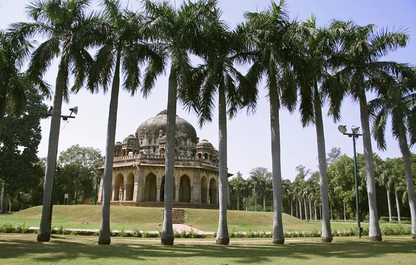 剪影的棕榈树，lodhi 的花园，德里印度 — 图库照片