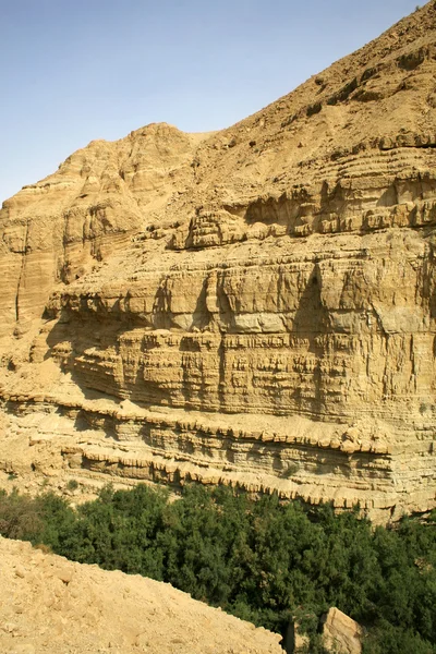 Paesaggio desertico nella regione del Mar Morto — Foto Stock