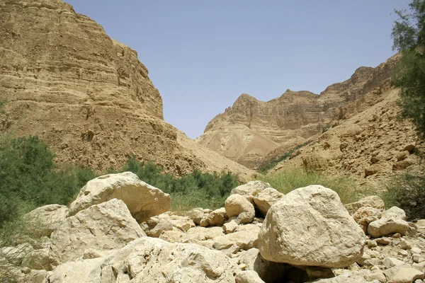 Wüstenlandschaft in der Region des Toten Meeres — Stockfoto