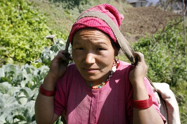 Nepalees dame uitvoering belasting, annapurna, nepal — Stockfoto