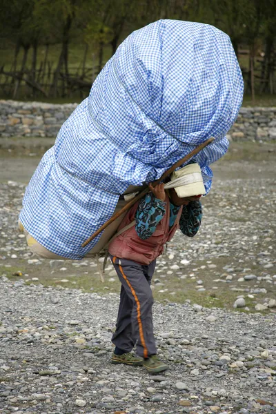 Porters carrying heavy loads on their back, annapurna, nepal — Stock Photo, Image
