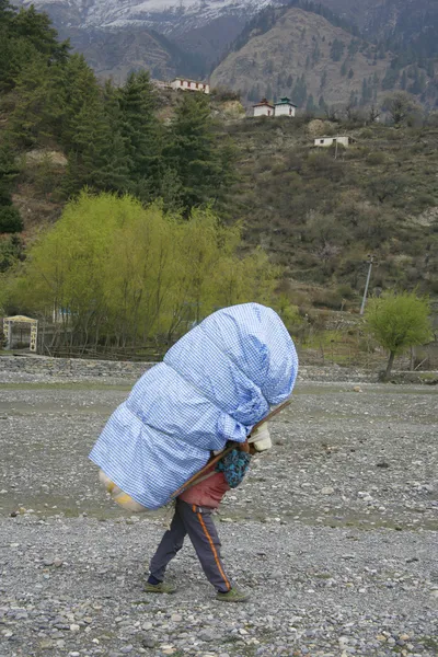Носильщики, несущие тяжелые грузы на спине, в Аннапурне, Непале — стоковое фото