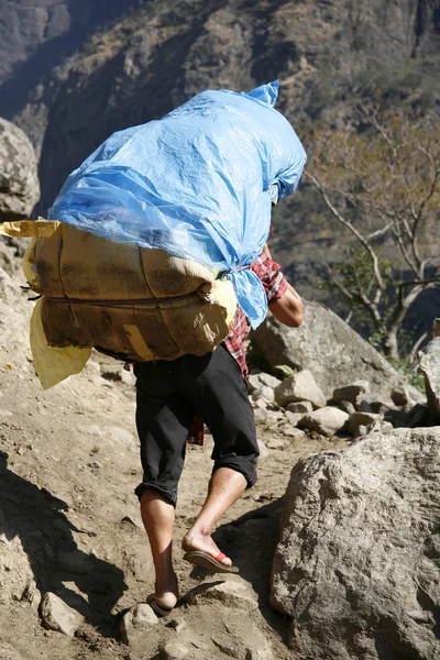 Porter en nepal — Foto de Stock