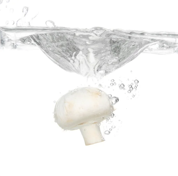 stock image Mushroom splash