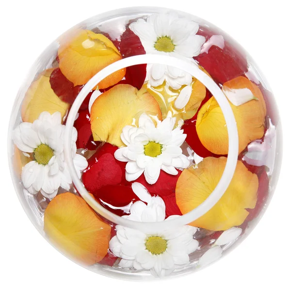 Daisies and rose petals in a round transparent glass vase — Stock Photo, Image