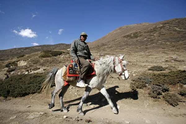 Cavallo cavaliere sul sentiero, annapurna, nepal — Foto Stock