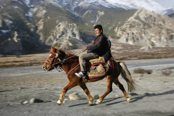 Horse back rider on path, annapurna, nepal — Stock Photo, Image