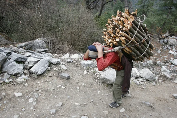 Homme portant du bois de chauffage — Photo