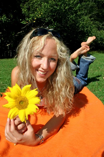 Sonnenblume schließen — Stockfoto