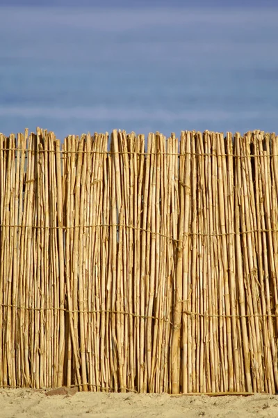 Reed hydda på stranden — Stockfoto