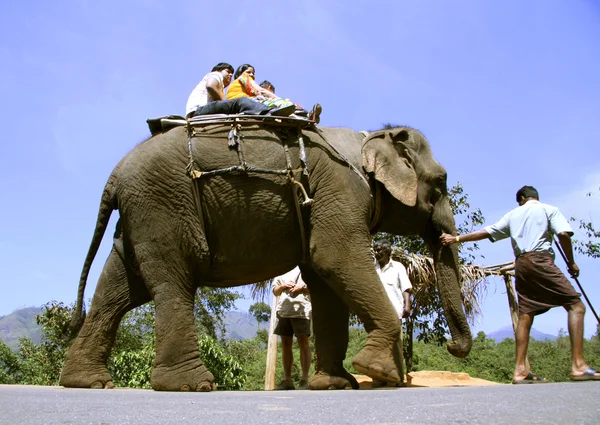 Индийская туристическая семья катается на слоне — стоковое фото