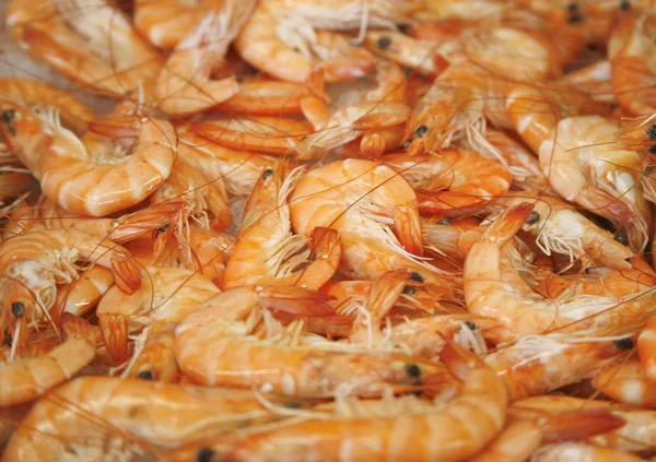 stock image Prawns