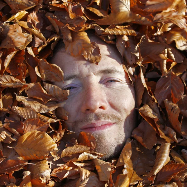 葉のベッド — ストック写真