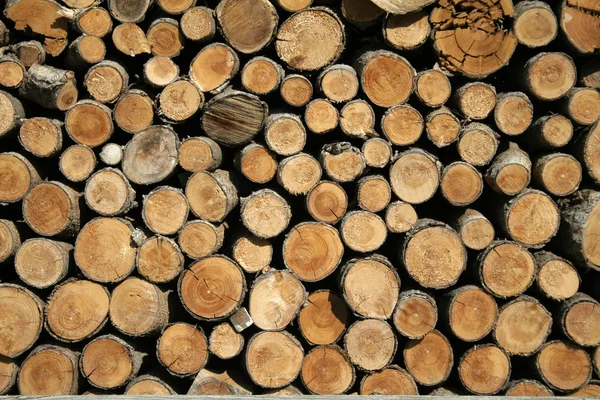 Display of brown cut wood — Zdjęcie stockowe