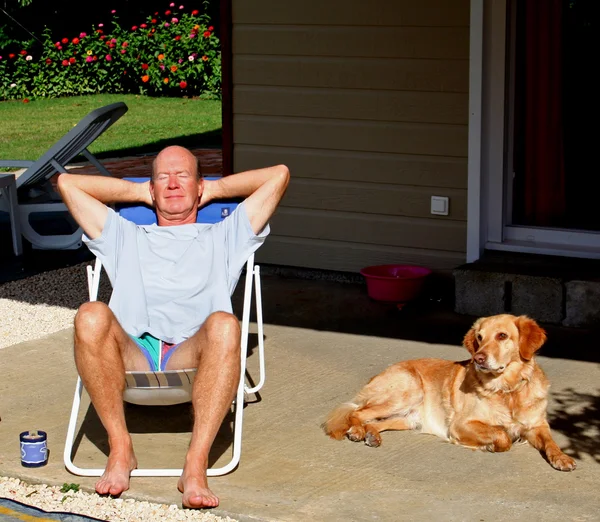太陽と犬 — ストック写真