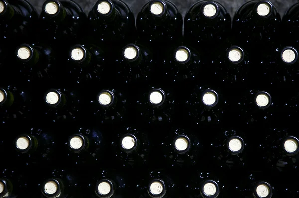 Bottles of red wine stacked on shelf — Stock Photo, Image