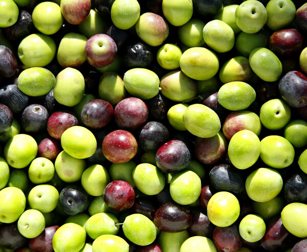 Olives