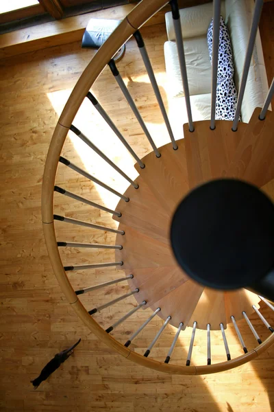 Spiral staircase with running cat — Stock Photo, Image