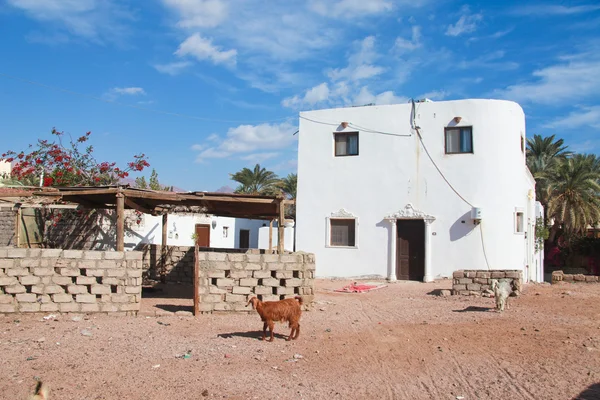 Haus in Dahab — Stockfoto