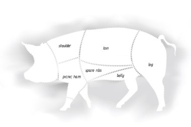 Pork meat diagram clipart