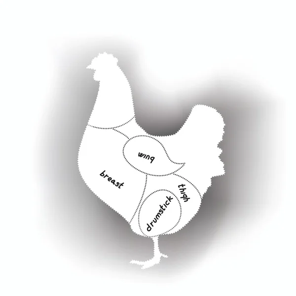 Chicken meat diagram — Stock Vector