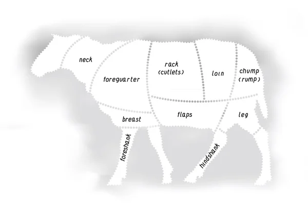 Диаграмма мяса ягненка — стоковый вектор