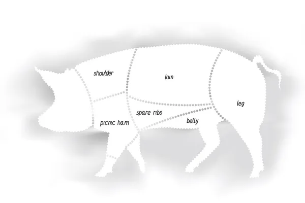 Diagrama de carne de cerdo — Vector de stock
