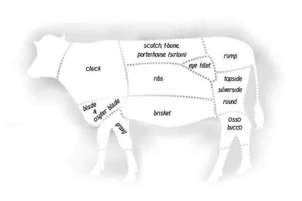 Sığır eti diyagramı — Stok Vektör