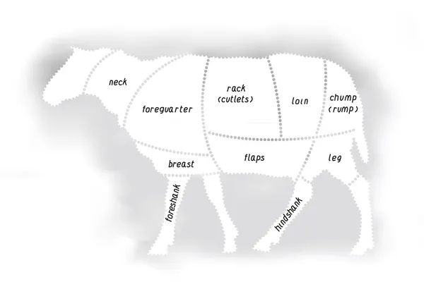 Kuzu eti diyagramı — Stok Vektör
