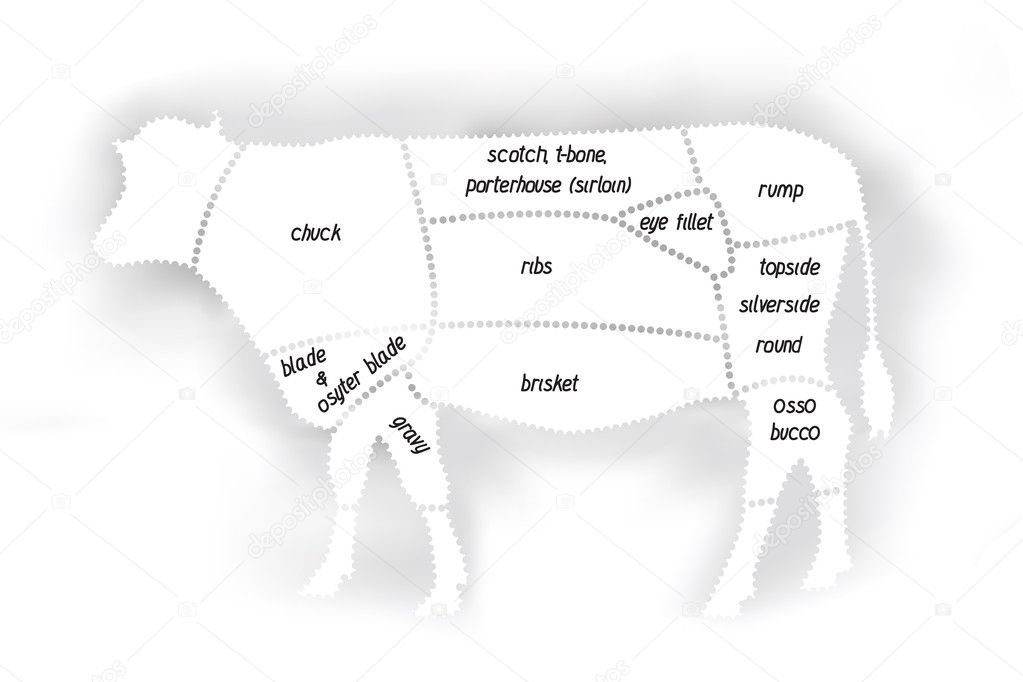 Beef meat diagram