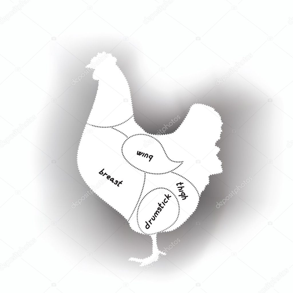 Chicken meat diagram