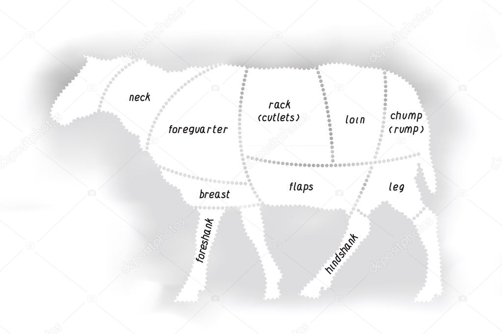 Lamb meat diagram